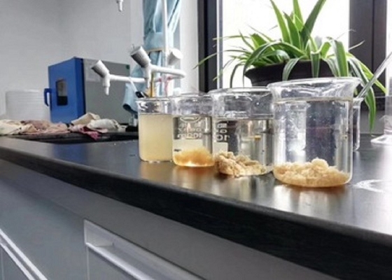 Eaux d'égout de gisement de pétrole de Chemical Auxiliary Agent d'agent de Decoloring de l'eau de formaldéhyde de Dicyandiamide
